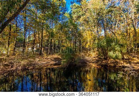 Idyllic Small Lake Called Eichenpfuhl Sourrounded By Trees In Berlin Frohnau, Germany