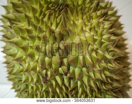 Durian, Thorny Fruit Is A Fruit Of Asia\ngolden Yellow Color Of The Fruit Is Sweet, Soft And Has A P