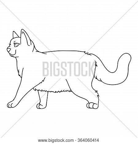 Cute Monochrome Lineart British Shorthair Cat Vector Clipart. Pedigree Kitty Breed For Cat Lovers. P