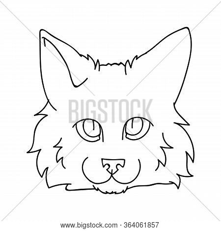 Cute Cartoon Ragdoll Cat Face Monochrome Lineart Vector Clipart. Pedigree Kitty Breed For Cat Lovers