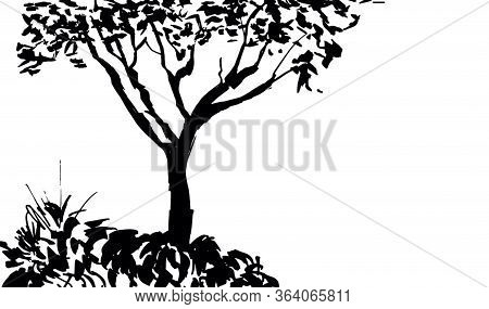 Black Tree Silhouette Isolated On White Background. Isumi-e, U-sin, Gohua Painting Style. Stylized I