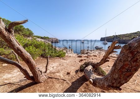 Seascape View Of The Famous Bay Cala Turqueta With Trees In The Foreground And Boats In The Sea. Men