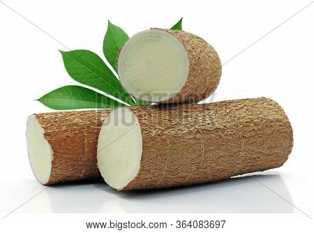 Fresh Cassava Root With Leaf Isolated On White Background