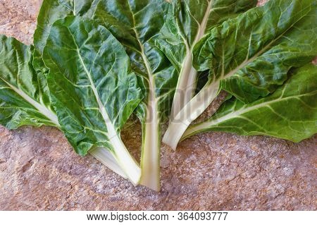Balkan Cuisine. Blitva ( Chard Leaves ) - Popular Leafy Vegetables. Free Space For Text