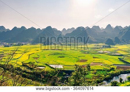 Rapeseed Flower Field And Villages At Wanfenglin  National Geological Park (forest Of Ten Thousands