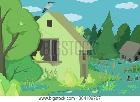 Frogs Landscape Scene After Rain, Strange Humorous Vector Cartoon Color Illustration, Horizontal