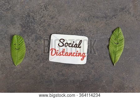 Social Distancing Or Safe Distance Conceptual Photo Due To Coronavirus Or Covid-19 With Green Leaves