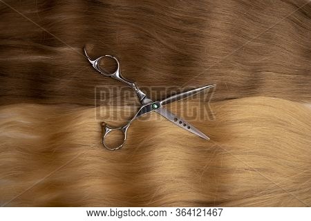 Brown And Blond Hair Texture. Barber Banner.