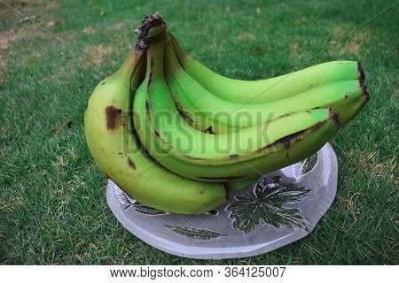 Side View Of Plantain Or Green Banana (musa Paradisiaca) On A Transparent Plate Bacground Of House L