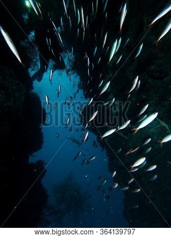 This Image Is Taken At Menjangan Island National Park In Bali