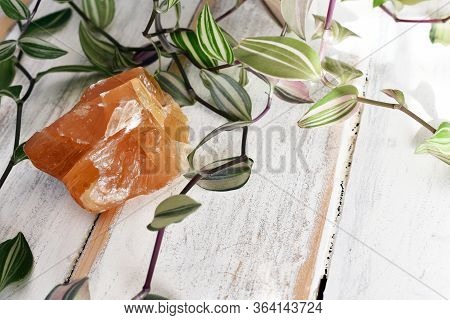 A Close Up Image Of A Beautiful Piece Of Honey Calcite With A Green Plant On A White Wooden Table To