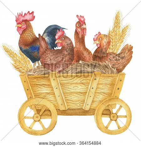 Illustration Of Hens On Wagon And Ears Of Wheat. Isolated On A White Background. Watercolor Hand Dra