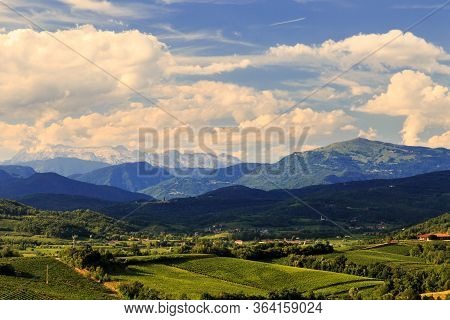 The Beautiful Vineyard Of Collio, Friuli Venezia-giulia, Italy