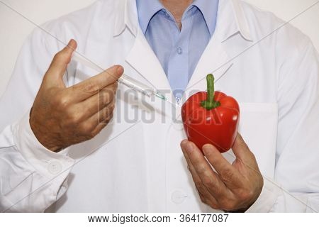 A Scientist Makes Genetically Modified Vegetables And Fruits.