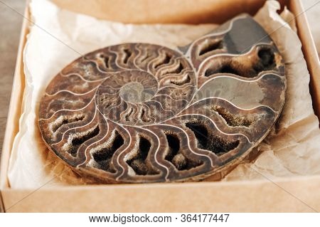 Ammonite Fossil Shell On Wooden Background. Top View. Copy, Empty Space For Text. Polished Half Of P
