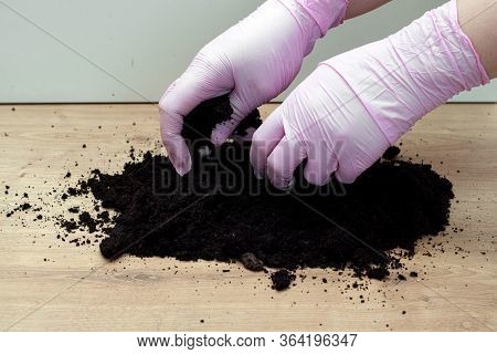 Woman Hands In Gloves Knead And Prepare The Soil For Transplanting Plants