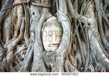 Buddha Head In Tree Roots In Ruins Of Wat Mahathat Temple. Ayutthaya, Thailand