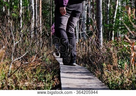 Hiking Wooden Trail In Kallio Lake, Finland.