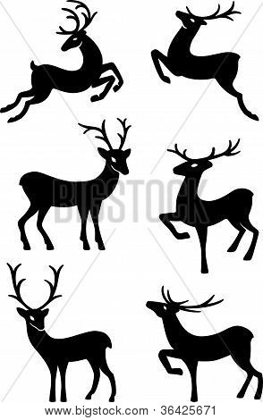 Silhouettes sei cervi