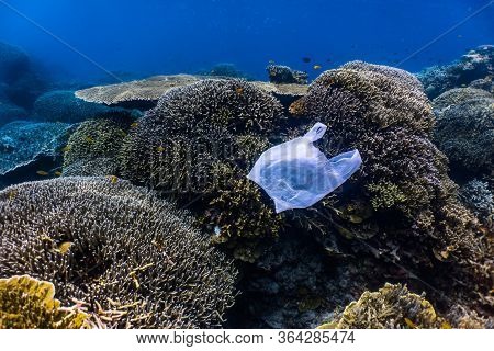 Single-use Plastic And School Of Fish In A Shallow Reef. Plastic Is A Major Contributor Of Pollution