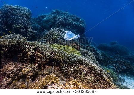 Single-use Plastic And School Of Fish In A Shallow Reef. Plastic Is A Major Contributor Of Pollution