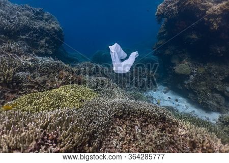 Single-use Plastic And School Of Fish In A Shallow Reef. Plastic Is A Major Contributor Of Pollution
