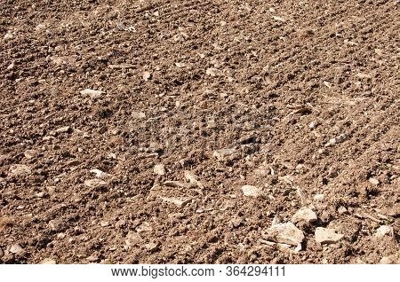 Agricultural Field In Springtime In Swabian Alb With Seeding Lines And Plenty Of Limestone Rocks