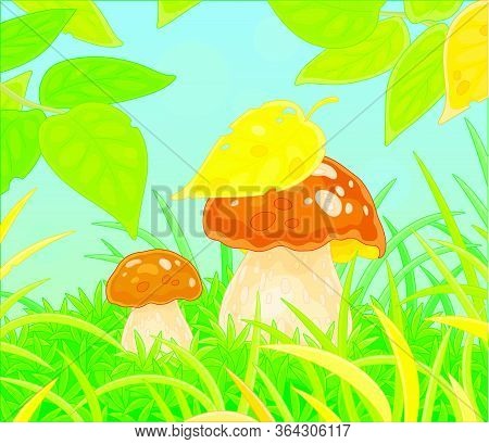 Two Thick Edible Mushrooms Hiding Under Leaves Among Green Grass On A Pretty Forest Glade, Vector Ca