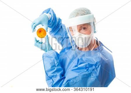 Pathology Sceintist In Biosecurity Suit And Ppe Holds Up A Petri Dish With Cultured Bacteria Or Viru