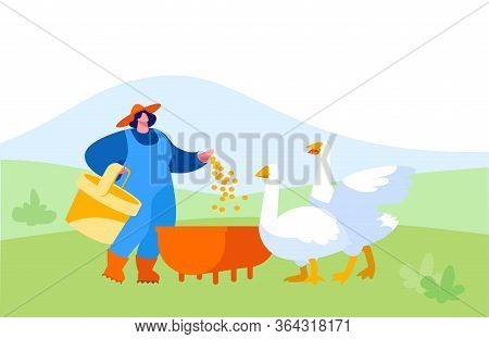 Young Woman In Working Robe Feeding Geese On Nature. Female Farmer, Villager Character At Work. Girl