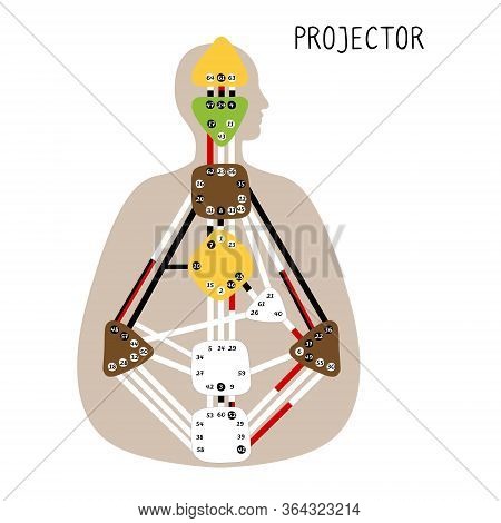 Projector. Human Design Bodygraph. Nine Colored Energy Centers