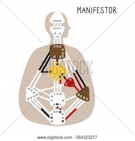 Manifestor. Human Design Bodygraph. Nine Colored Energy Centers