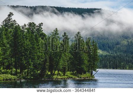 Forest Trees On The Shore Of A Mountain Lake In The Ulagansky District Of The Altai Republic, Russia