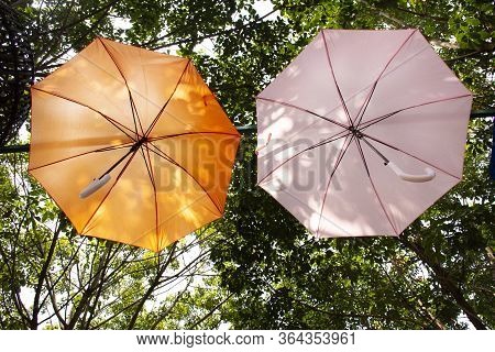 Colorful Umbrella Hanging On Tree Outdoor At Garden For Travelers Thai And Foreigners People Visit T