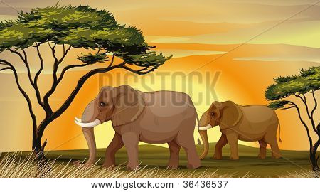 Abbildung ein Elefant unter einem Baum stehen