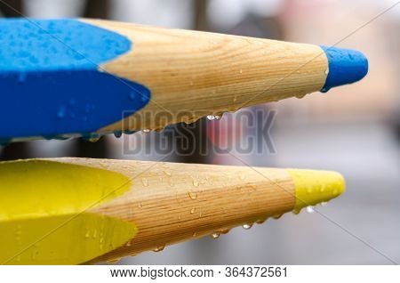 Raindrops On Colored Wooden Pencils. Street Decoration In The Form Of Pencils In The Rain. Walk In T
