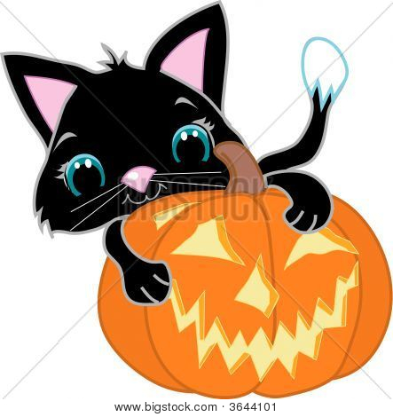 ジャック-O-ランタンのかわいい黒い猫
