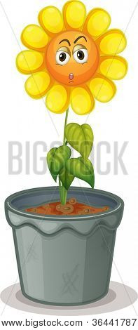 ภาพประกอบของดอกไม้ในหม้อ