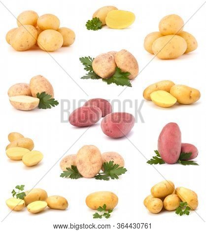 potato isolated on white background. Set of different composition of potatoes.