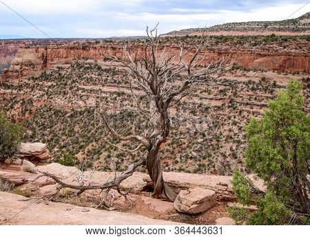 Rugged Landscape Of The Colorado National Monumnet, Near Fruita, Colorado