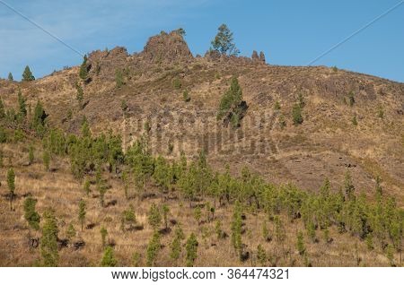 Hill In The Nublo Rural Park, Aldea De San Nicolas De Tolentino.