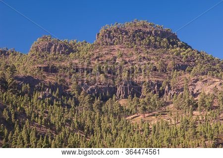 Las Brujas Mountain, Integral Natural Reserve Of Inagua.