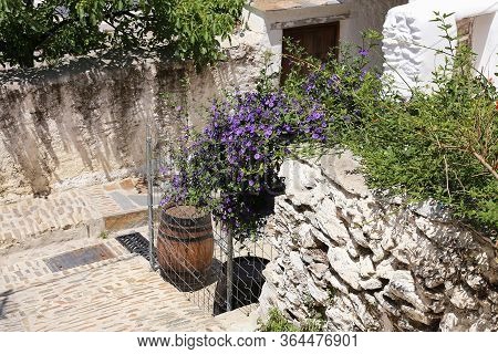 Narrow Streets Paved With White Cobblestone And White Houses And A Flowering Lilac Bush In The Old T