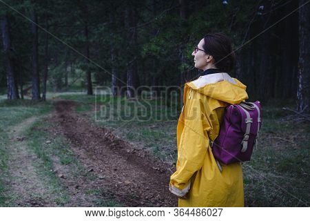 Woman In Forest Nature In Vacation. Woman In Nature. Green Forest Nature. Vacation. Natural Environm