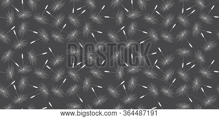 Dandelion Seeds In The Form Of Umbrellas, White On A Gray Background