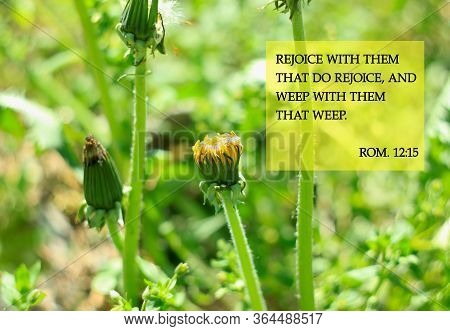 Bible Quotes On On Dandelion Flowers Background.card With Text Sign For Believers. Inspirational Ver
