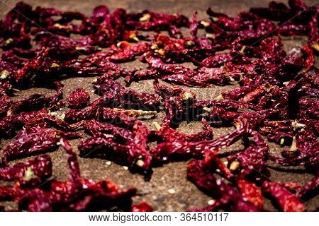 Red Chillies, Which Made Dry In Hot Sunlight To Get More Taste