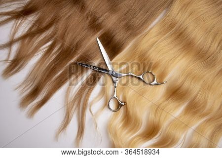 Brown And Blond Hair Texture. Barber Banner.
