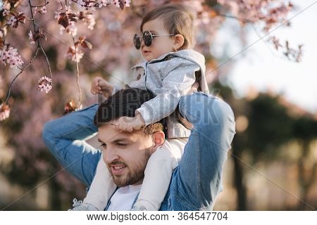 Adorable Little Daughter Sitting On Dads Neck And Smels Pink Flowers From Flowering Tree. Happy Fami