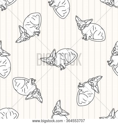 Cute Cartoon Monochrome Sphynx Kitten Seamless Vector Pattern. Pedigree Exotic Kitty Lineart Breed D